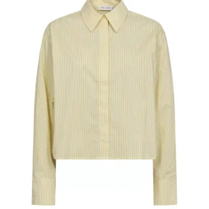 CM Blaire Shirt – Citron