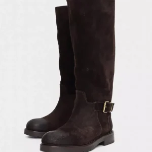 Sammy – Suede Espresso